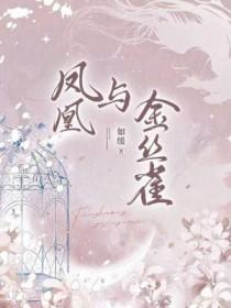 金丝雀和凤凰旗袍区别